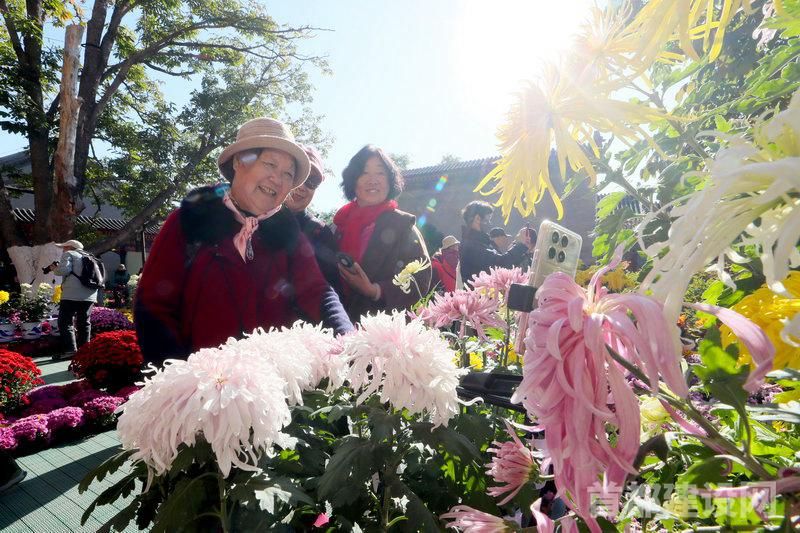 市民在紫竹园恢复开放的行宫内观赏菊花展